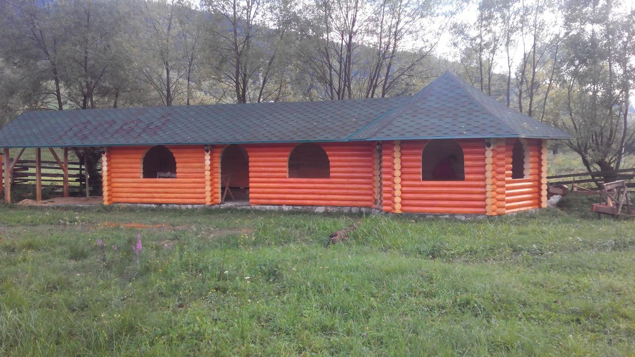 Villa Плай Verkhovyna Esterno foto